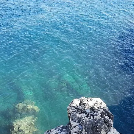 Corte Mariposa *